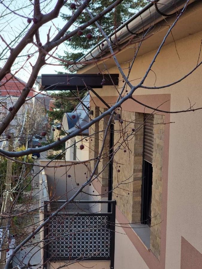 As Apartman 2 Vrsac Exterior photo